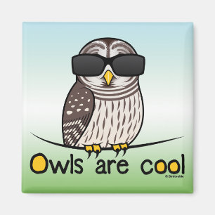 Eulen sind cool! magnet