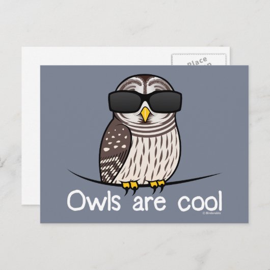 Eulen sind cool postkarte (Vorne/Hinten)