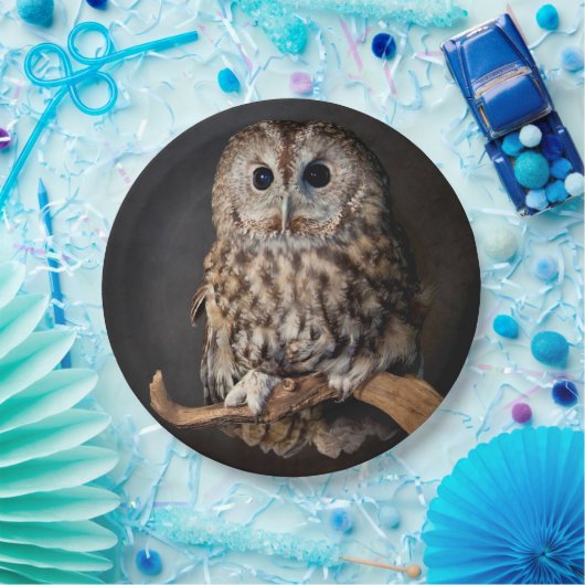 Eulen-Symbol von Klugheit Pappteller (Party)