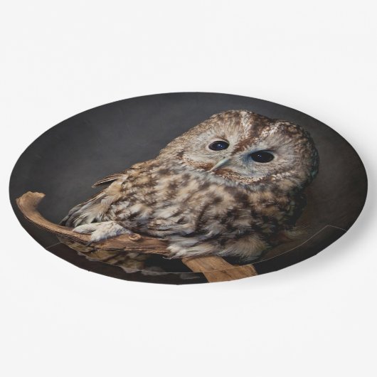 Eulen-Symbol von Klugheit Pappteller (Schrägansicht)