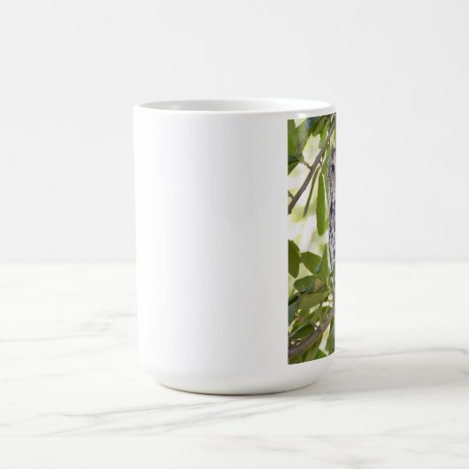 Eulen-Tasse Kaffeetasse (Mittel)