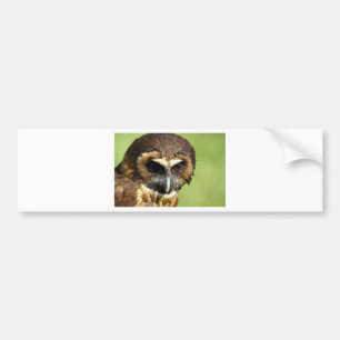 Eulen-Tiervogel-Natur-Park-Baum-Harmonie-Schicksal Autoaufkleber