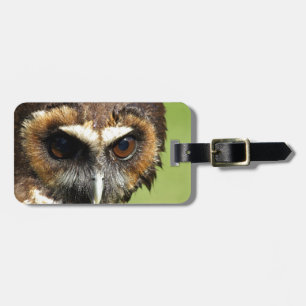 Eulen-Tiervogel-Natur-Park-Baum-Harmonie-Schicksal Gepäckanhänger
