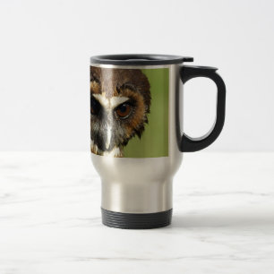 Eulen-Tiervogel-Natur-Park-Baum-Harmonie-Schicksal Reisebecher