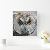 Eulen-Uhr Quadratische Wanduhr (Zuhause)