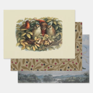Eulen und Elfen Feen Natur Illustration Geschenkpapier Set