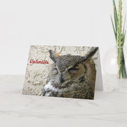 Eulen-Valentinsgruß-Karte Feiertagskarte (Vorderseite)
