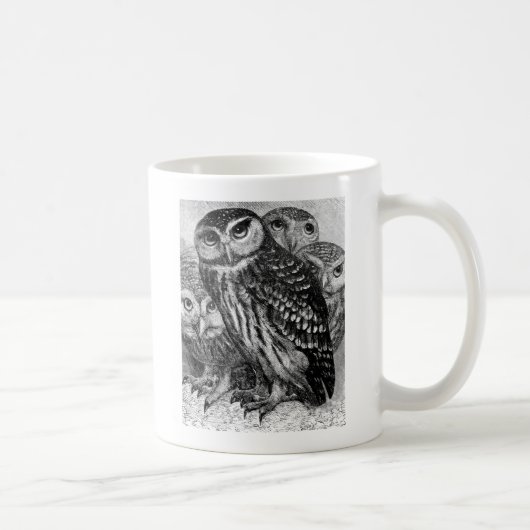 Eulen, Vintage Gravur Kaffeetasse (Rechts)