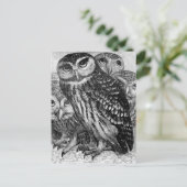 Eulen, Vintage Gravur Postkarte (Stehend Vorderseite)