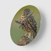 Eulen-Vogel mustert Baum Runde Wanduhr (Winkel)