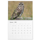 Eulen von Hawaii Kalender (Feb 2026)