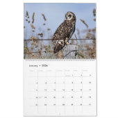 Eulen von Hawaii Kalender (Jan 2026)