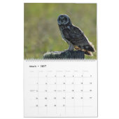 Eulen von Hawaii Kalender (Mär 2027)