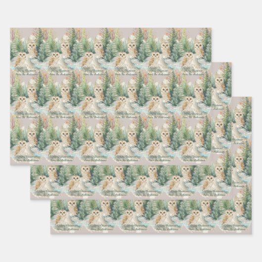 Eulen-Weihnachts-Geschenkpapier-Set mit 3 flachen  Geschenkpapier Set (Set)