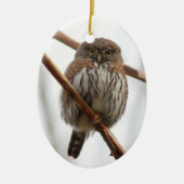 Eulen-Weihnachtsverzierung - Nordc$pygmäe-eule Keramikornament (Vorne)