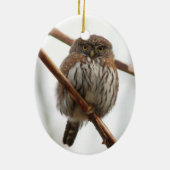 Eulen-Weihnachtsverzierung - Nordc$pygmäe-eule Keramikornament (Hinten)