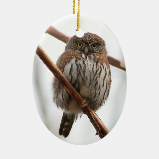 Eulen-Weihnachtsverzierung - Nordc$pygmäe-eule Keramikornament (Hinten)