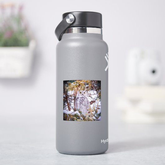 Eulenaufkleber Aufkleber (HydroFlask)
