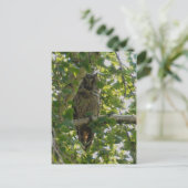 Eulenbaum - Asio otus Postkarte (Stehend Vorderseite)