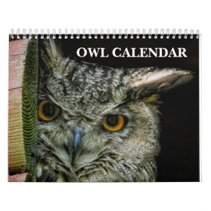 Eulenbilder und -bilder 2027 kalender
