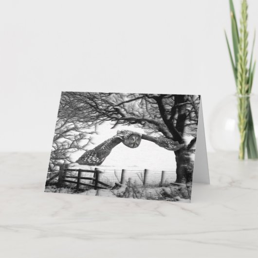 Eulenfliegen im Schnee Feiertagskarte (Vorderseite)