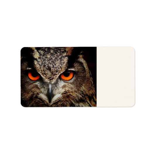 Eulenforscher Adressaufkleber (Vorne)