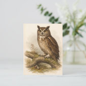 Eulenillustration im Vintage-Stil Postkarte (Stehend Vorderseite)