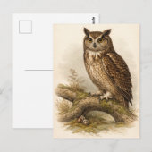 Eulenillustration im Vintage-Stil Postkarte (Vorne/Hinten)