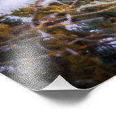 Eulenkarte Fotodruck (Ecke)