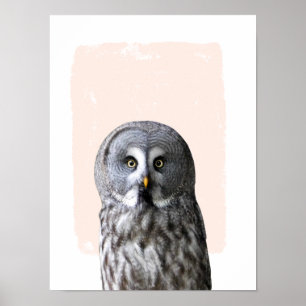 Eulennursery-Wandkunst Tierporträt Poster