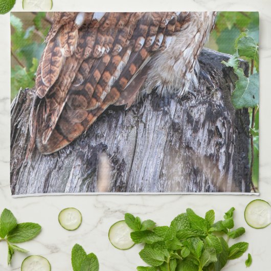 Eulenphotographie Geschirrtuch (Gefaltet)