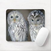 Eulenportrait Mousepad (Mit Mouse)