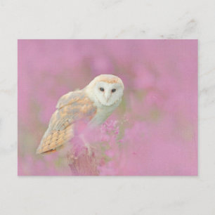 Eulenpostkarte Postkarte