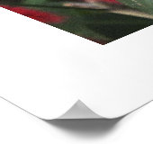 Eulenschmetterling Poster (Ecke)