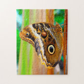 Eulenschmetterling. Puzzle (Vertikal)