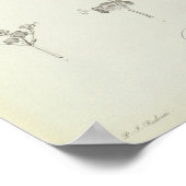 Euphorbia Mellifera Poster (Ecke)