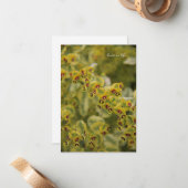 Euphorbia Mitteilungskarte (Vorderseite/Rückseite Beispiel)