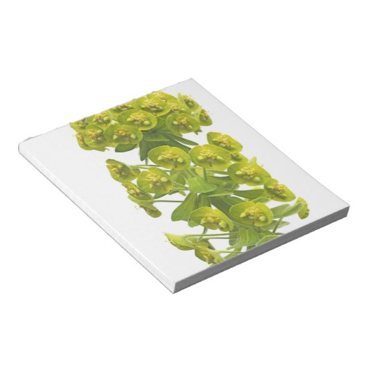 Euphorbia Notizblock (angewinkelt)