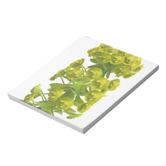 Euphorbia Notizblock (Rotiert)