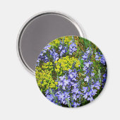 Euphorbia und Veronica Magnet (Vorderseite/Rückseite)