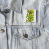 Euphorbiengummi Button (Beispiel)