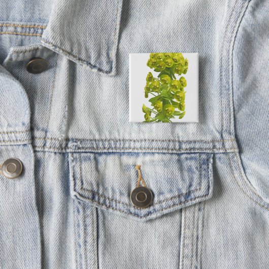 Euphorbiengummi Button (Beispiel)