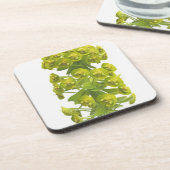 Euphorbiengummi Getränkeuntersetzer (Linke Seite)