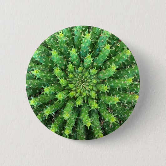 Euphorbiengummi-Medusa-Grün-KaktusSucculent Button (Vorderseite)