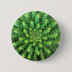 Euphorbiengummi-Medusa-Grün-KaktusSucculent Button