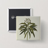 Euphorbiengummi Mellifera Button (Vorne & Hinten)