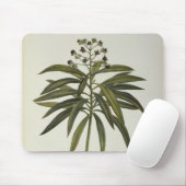 Euphorbiengummi Mellifera Mousepad (Mit Mouse)