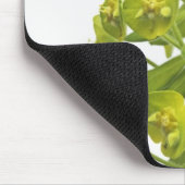 Euphorbiengummi Mousepad (Ecke)