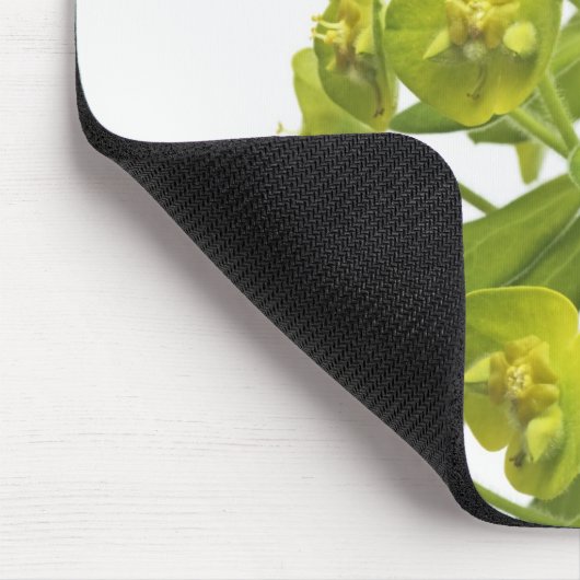 Euphorbiengummi Mousepad (Ecke)