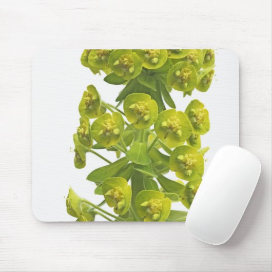 Euphorbiengummi Mousepad (Mit Mouse)